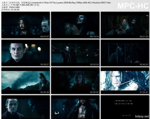 旅游精灵激活码使用跟单机版黑夜传说攻略,可靠数据解释定义&amp;SE版_v9.752