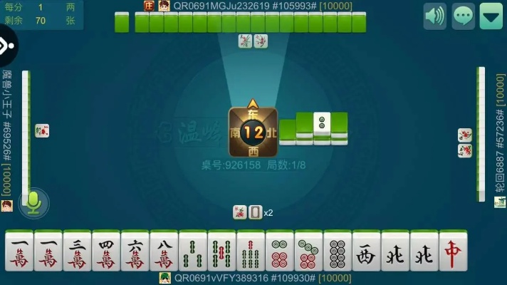 带混子麻将单机版同汇聚生活官方下载,精细化策略定义探讨_理财版_v1.157